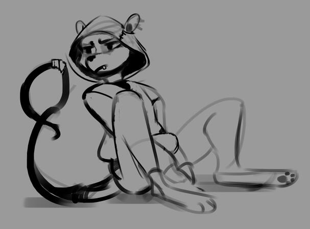 Raccoon