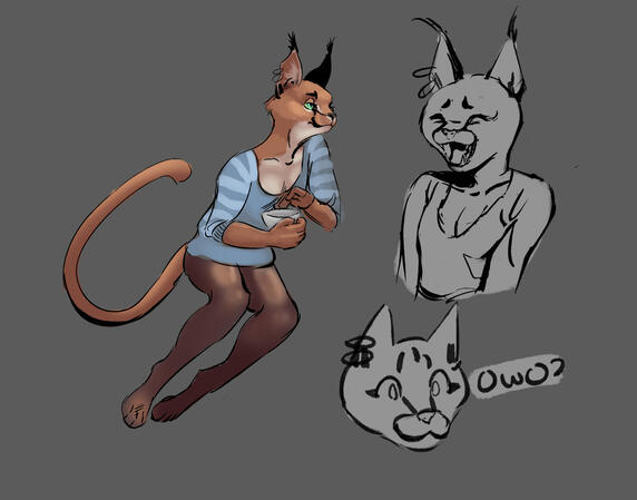 Character sheet of a lynx.