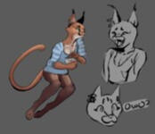 Character sheet of a lynx character.